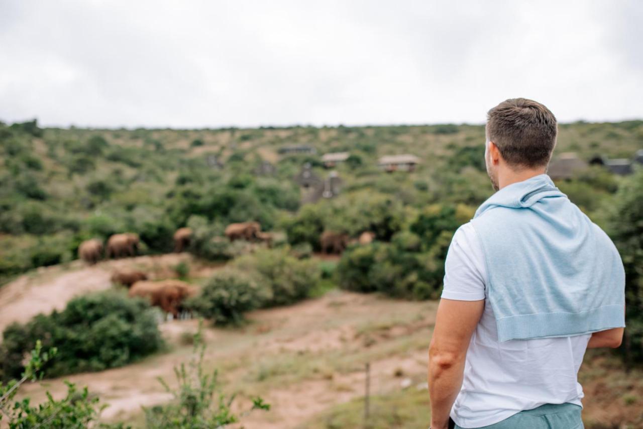 Bukela Game Lodge - Amakhala Game Reserve Exterior photo