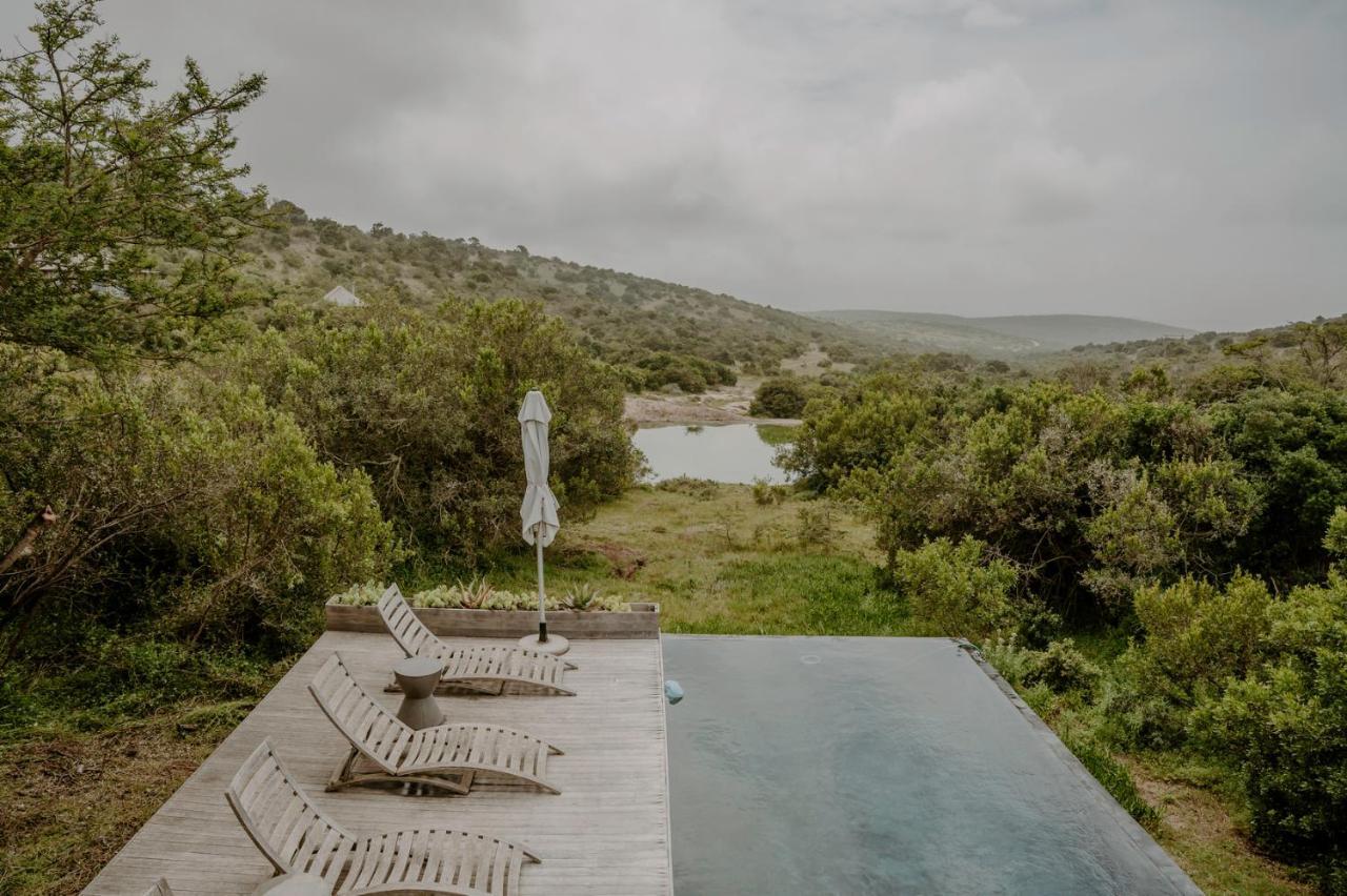 Bukela Game Lodge - Amakhala Game Reserve Exterior photo