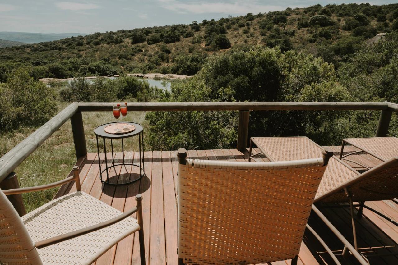 Bukela Game Lodge - Amakhala Game Reserve Exterior photo