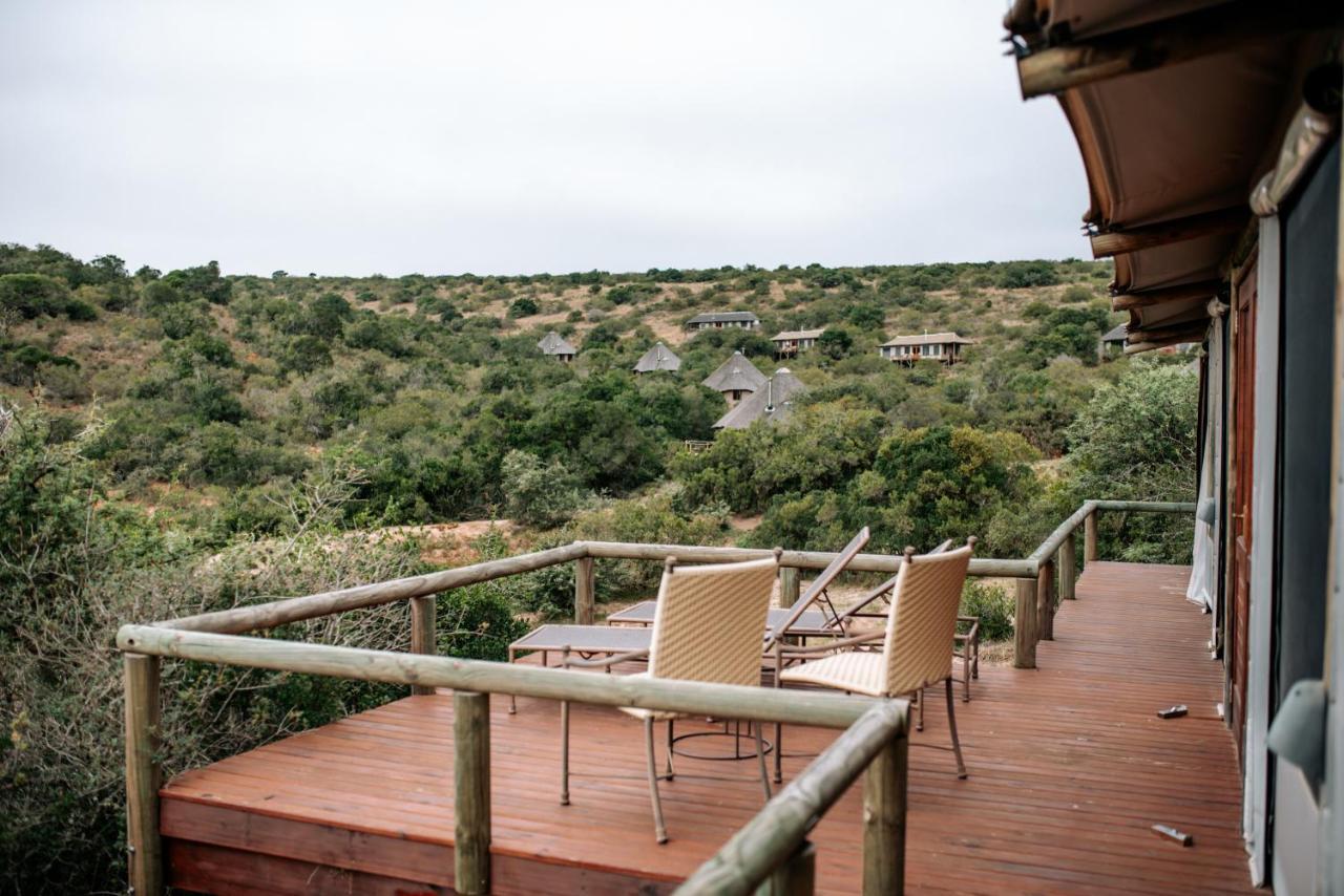Bukela Game Lodge - Amakhala Game Reserve Exterior photo