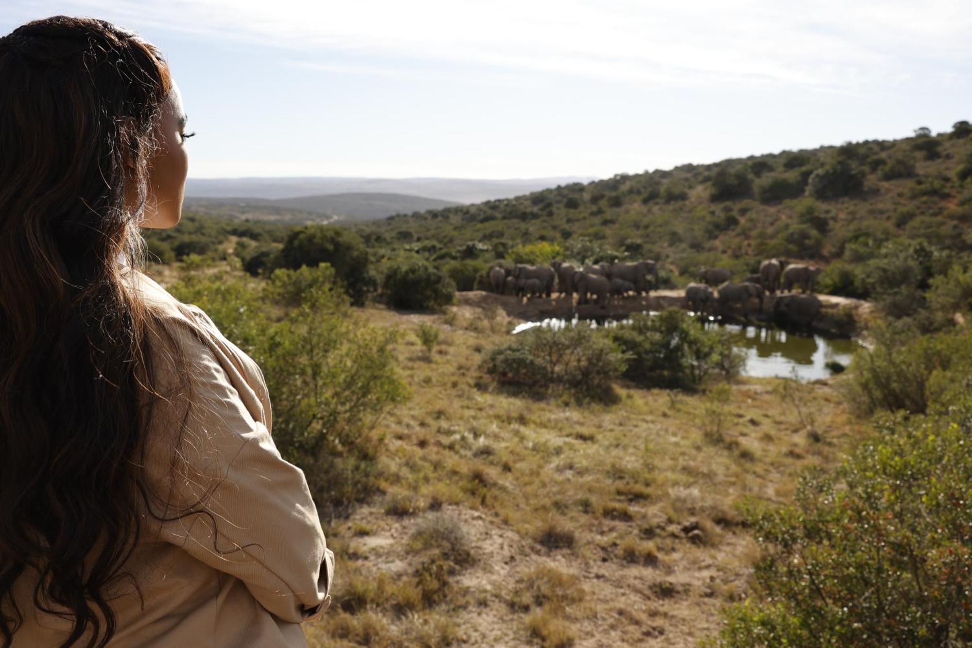 Bukela Game Lodge - Amakhala Game Reserve Exterior photo